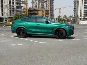 2024 BMW X6