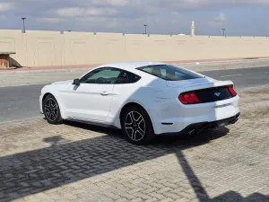 2020 Ford Mustang