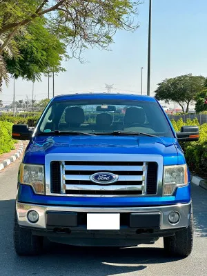 2011 Ford F150
