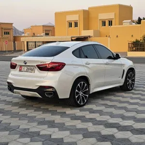 2019 BMW X6