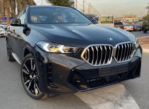 2025 BMW X6