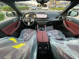 2025 BMW X6