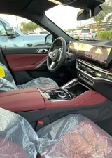 2025 BMW X6