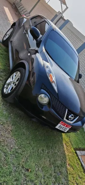 2011 Nissan Juke