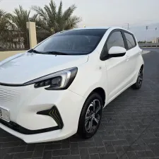 2023 Changan E-Star