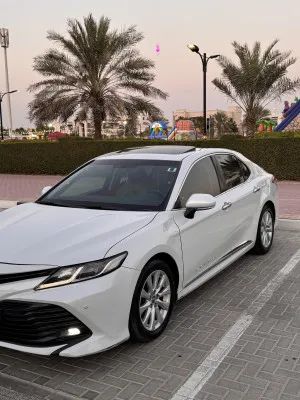 2019 تويوتا كامري
