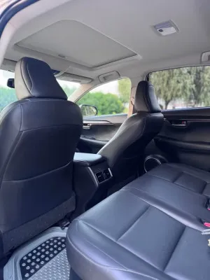 2017 Lexus NX