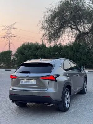 2017 Lexus NX