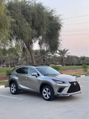 2017 Lexus NX