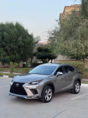 2017 Lexus NX