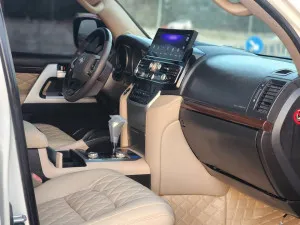 2010 Toyota Land Cruiser