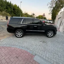 2015 كاديلاك اسكاليد