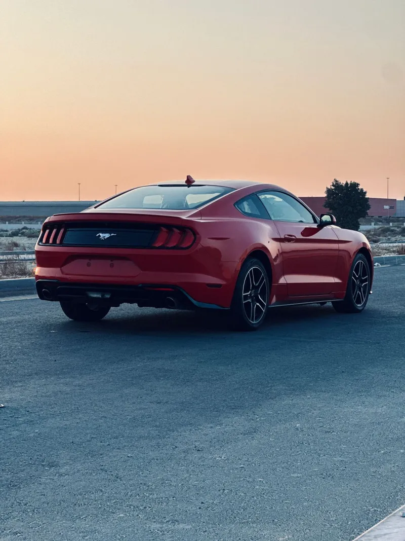 2021 Ford Mustang in Dubai