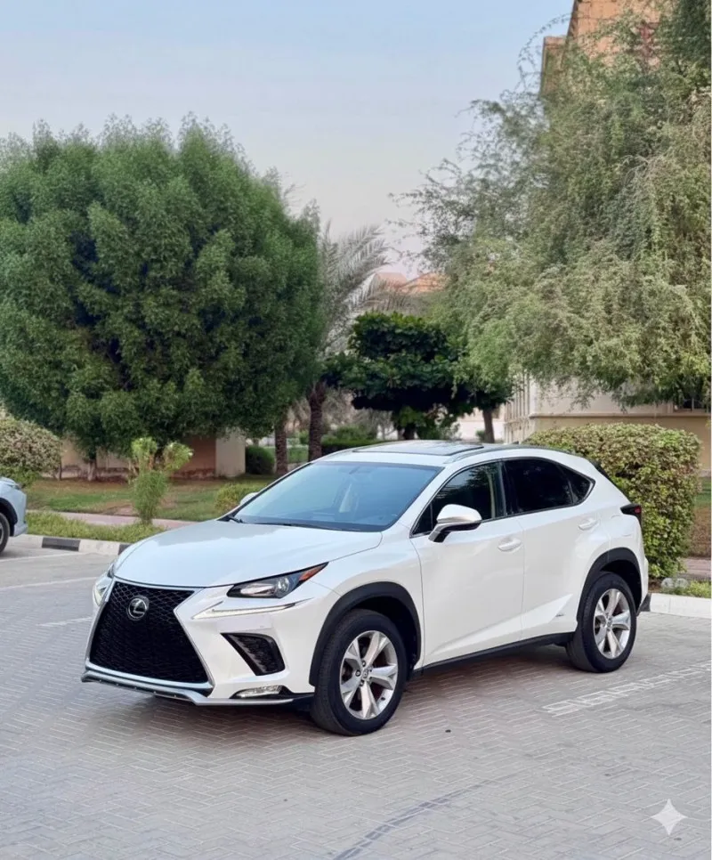 2017 Lexus NX in Dubai
