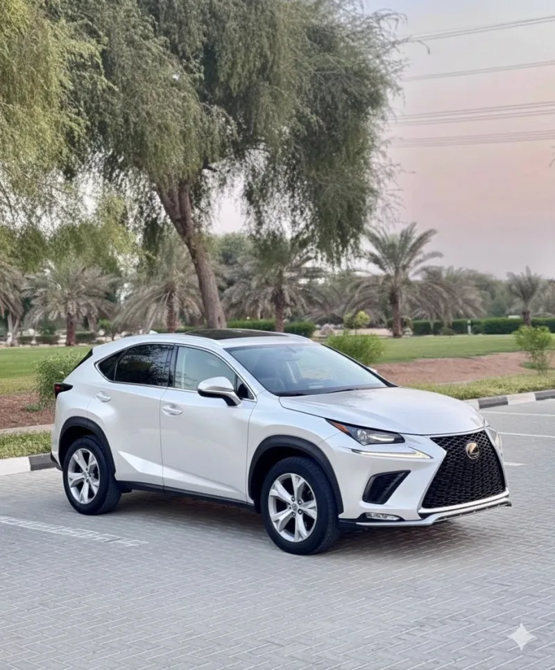 2017 Lexus NX in Dubai