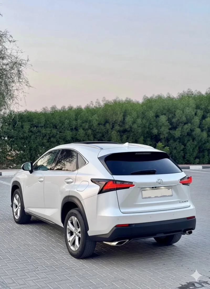 2017 Lexus NX in Dubai