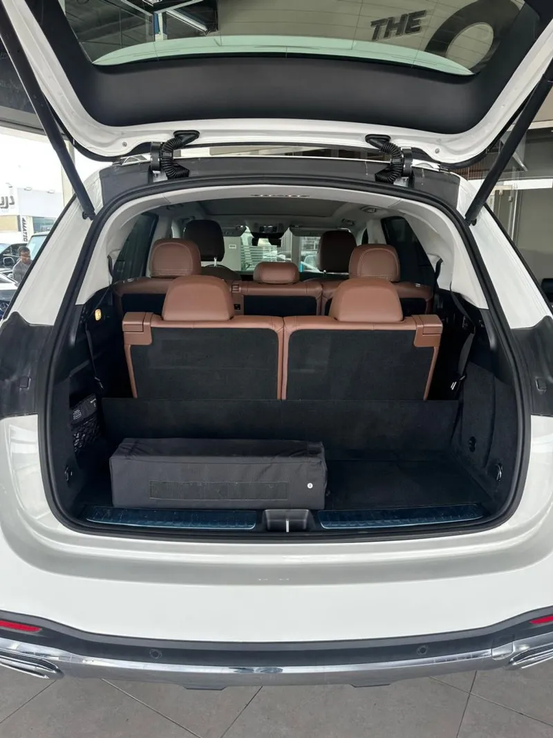 2024 Mercedes-Benz GLE in Dubai