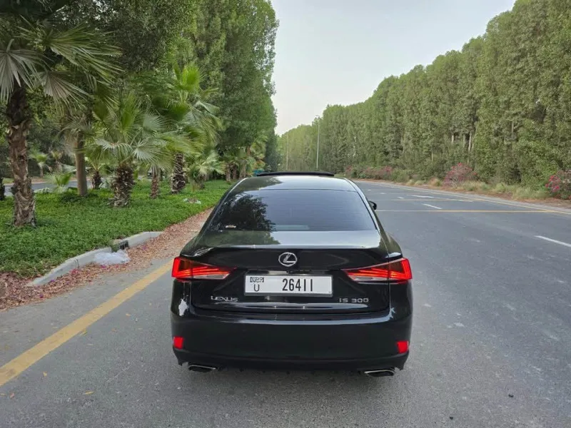 2019 Lexus IS in Dubai