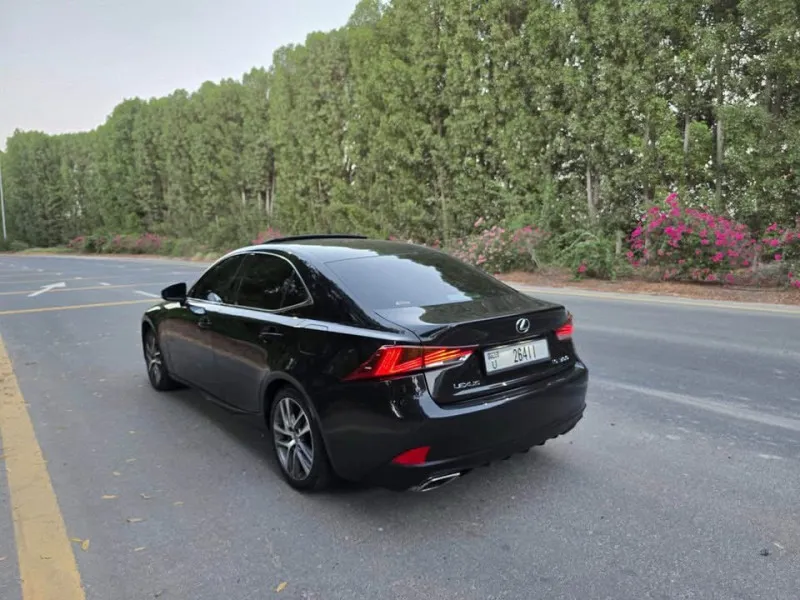 2019 Lexus IS in Dubai
