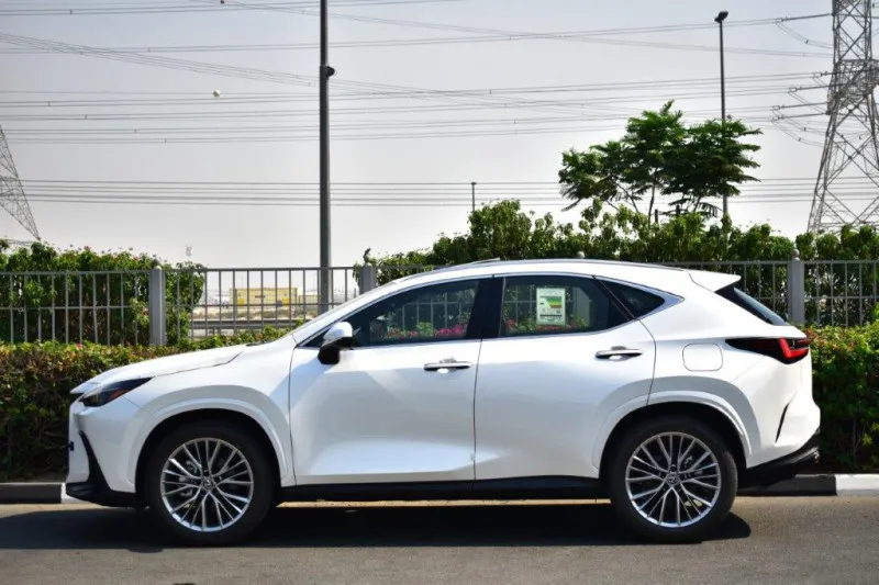 2025 Lexus NX in Dubai
