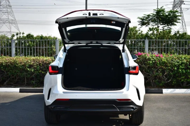2025 Lexus NX in Dubai