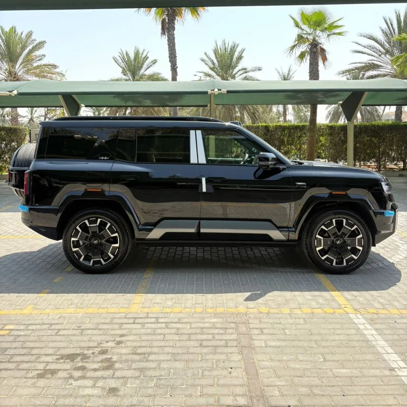 2025 بي واي دي ليوبارد in Dubai