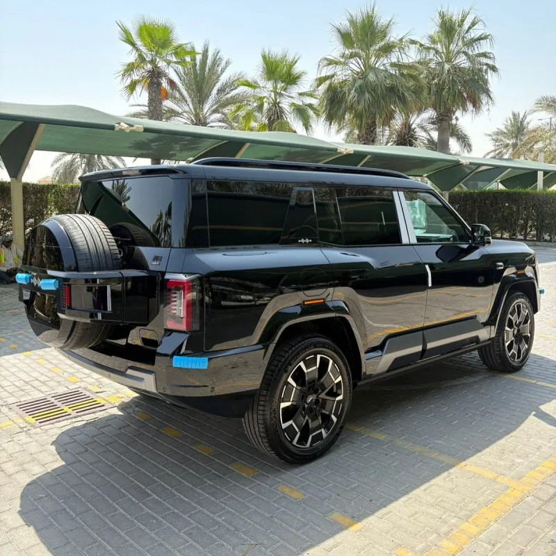 2025 بي واي دي ليوبارد in Dubai