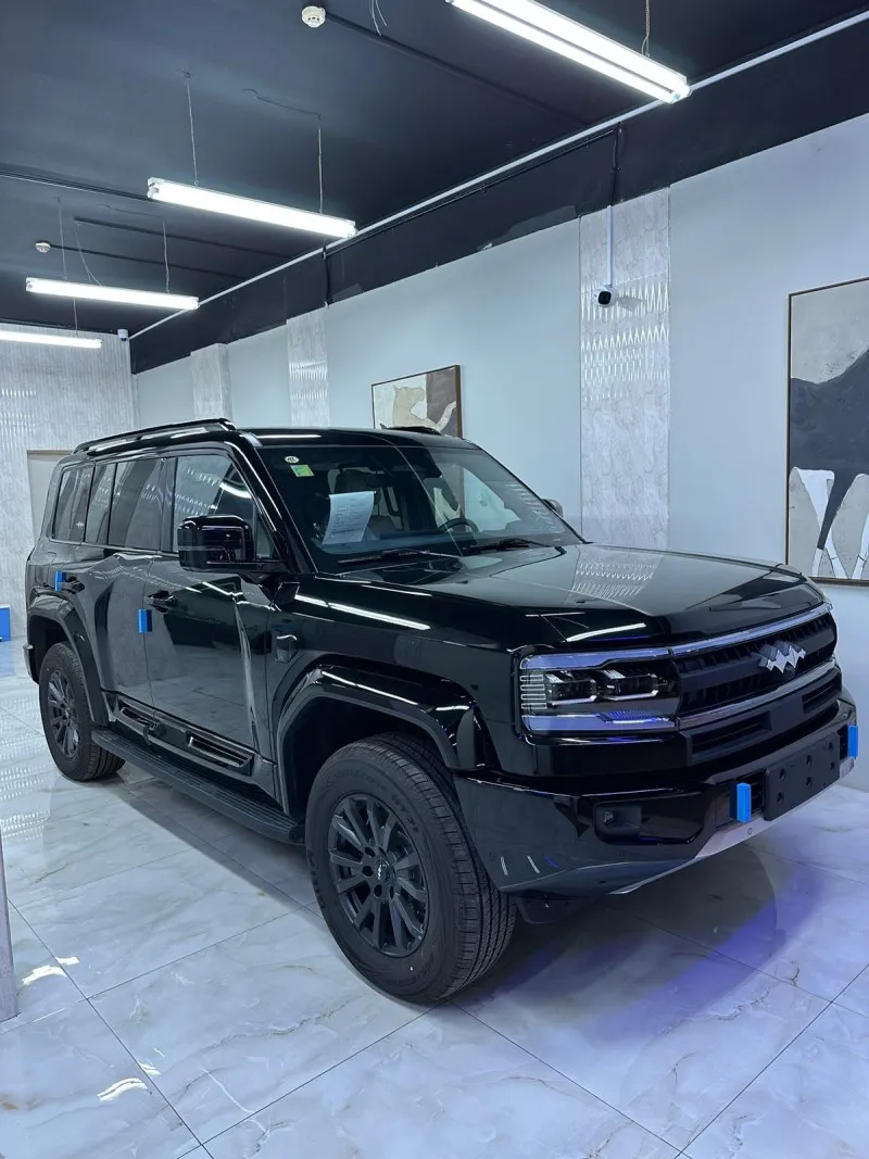 2025 بي واي دي ليوبارد in Dubai