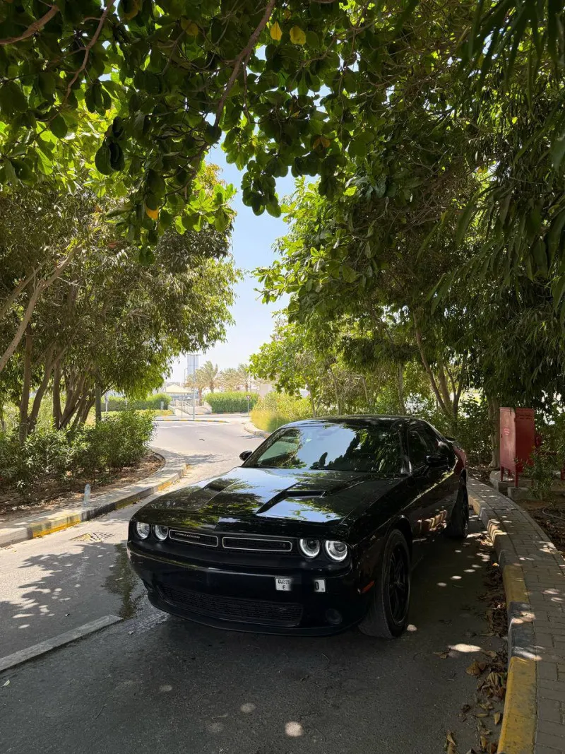 2019 Dodge Challenger in Dubai