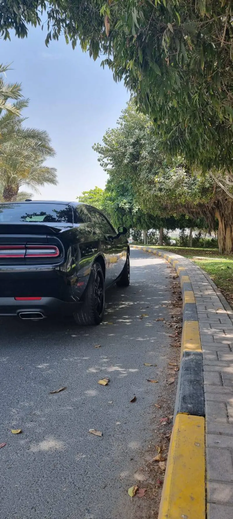 2019 Dodge Challenger in Dubai