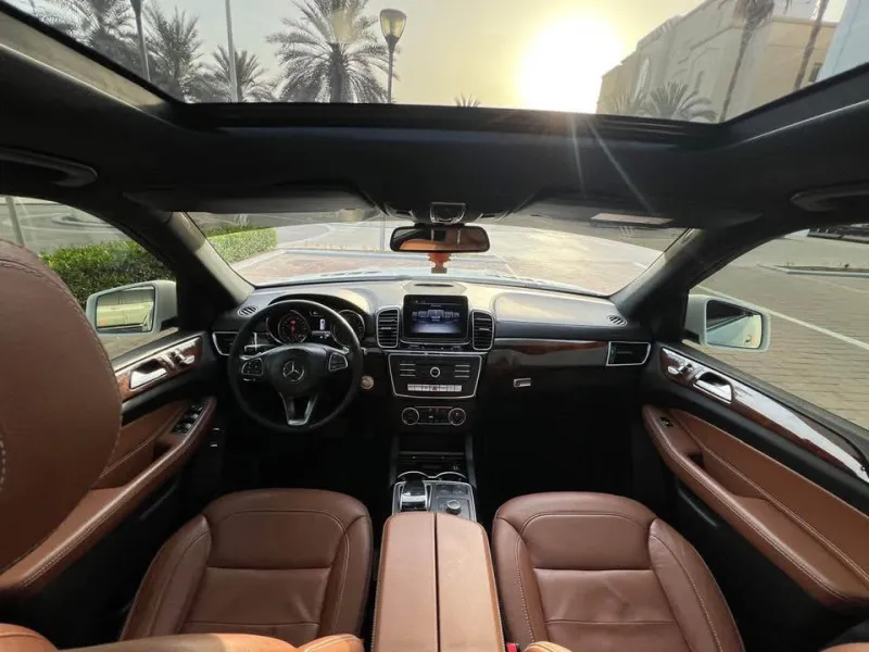 2019 Mercedes-Benz GLS in Dubai