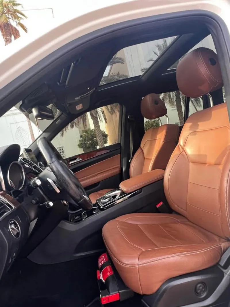2019 Mercedes-Benz GLS in Dubai