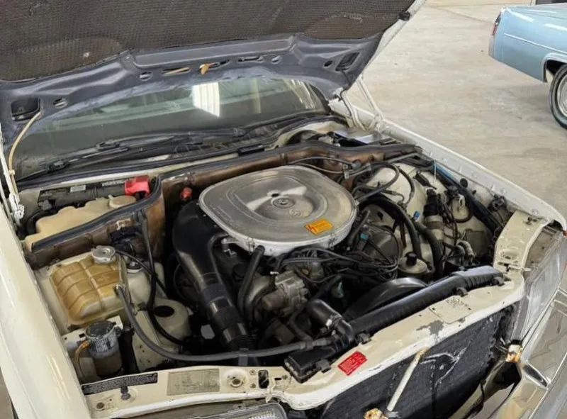 1984 Mercedes-Benz 300 in Dubai