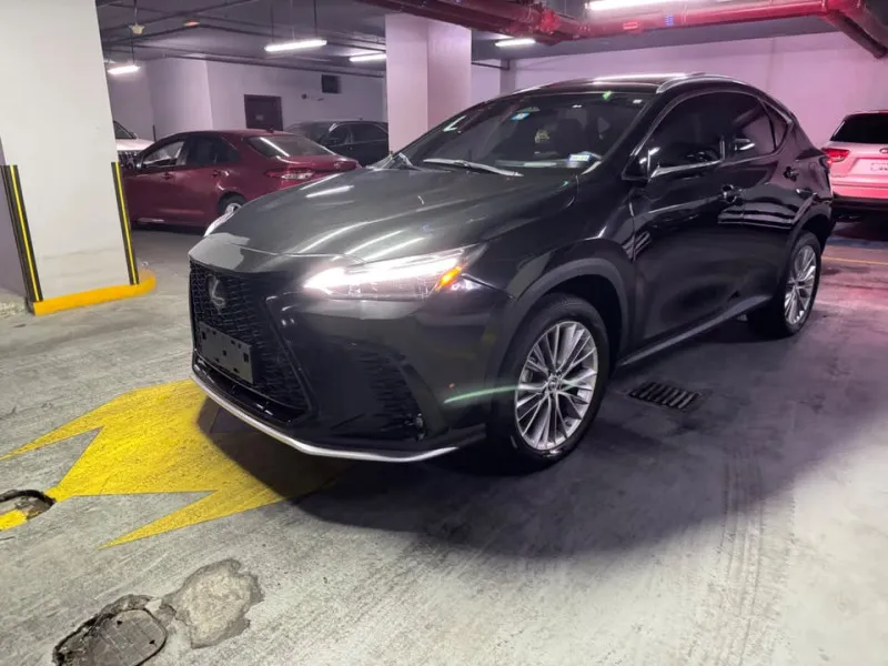 2022 Lexus NX in Dubai