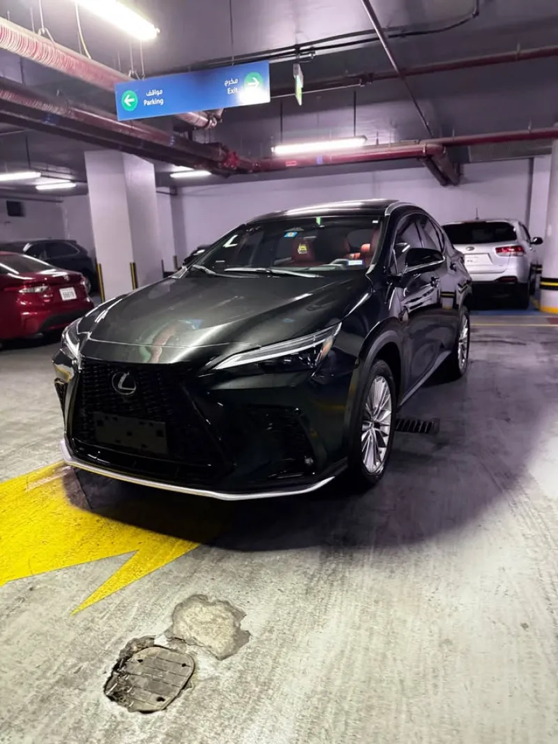 2022 Lexus NX in Dubai