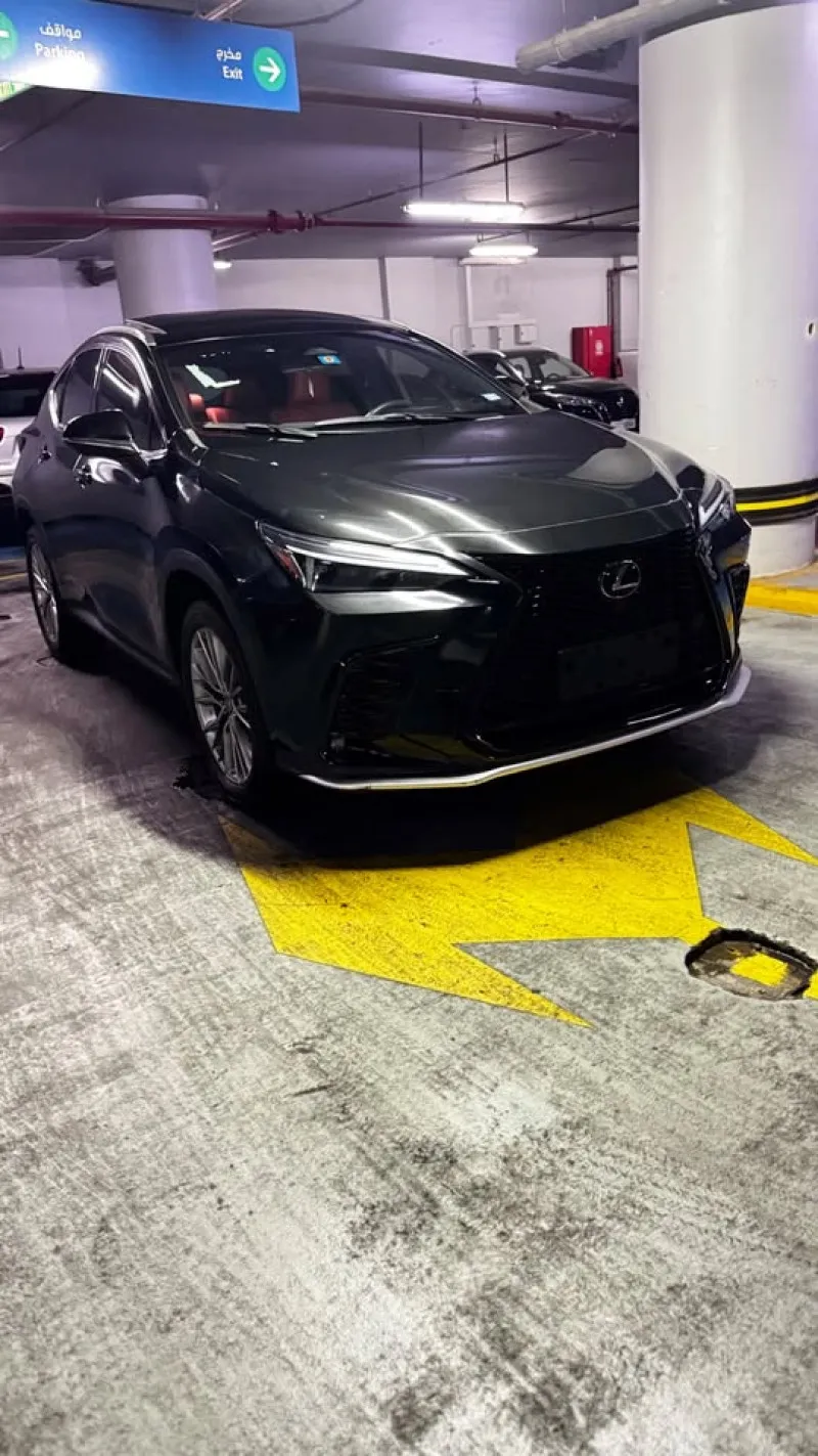 2022 Lexus NX in Dubai