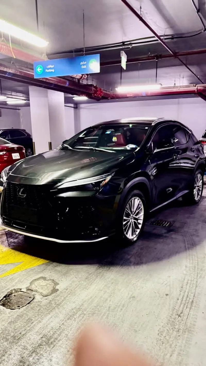 2022 Lexus NX in Dubai