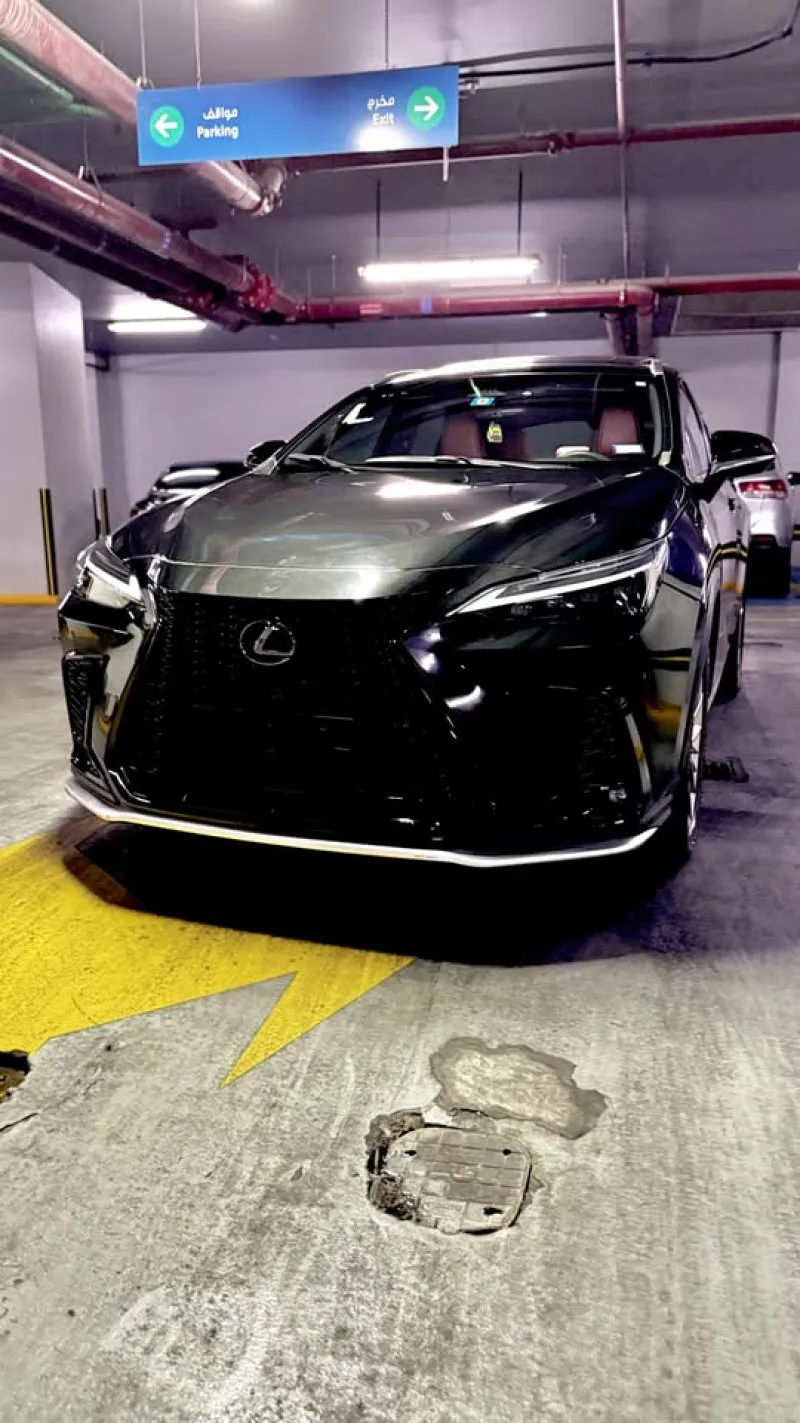 2022 Lexus NX in Dubai