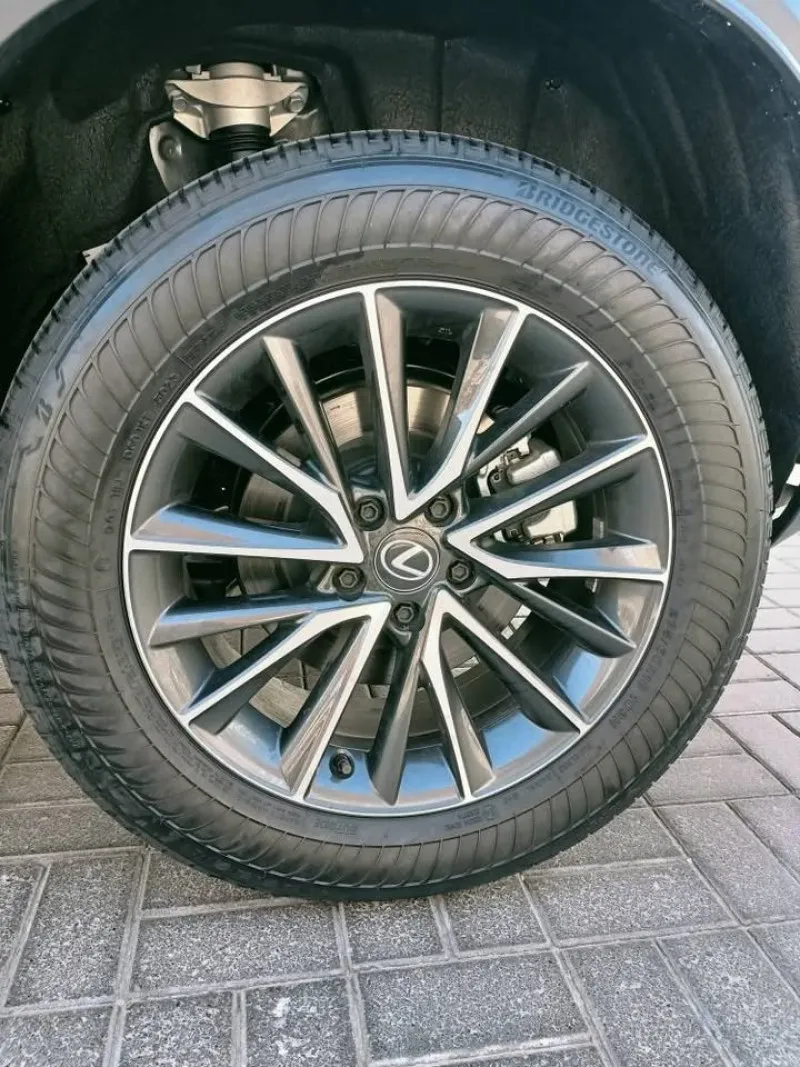 2025 Lexus NX in Dubai