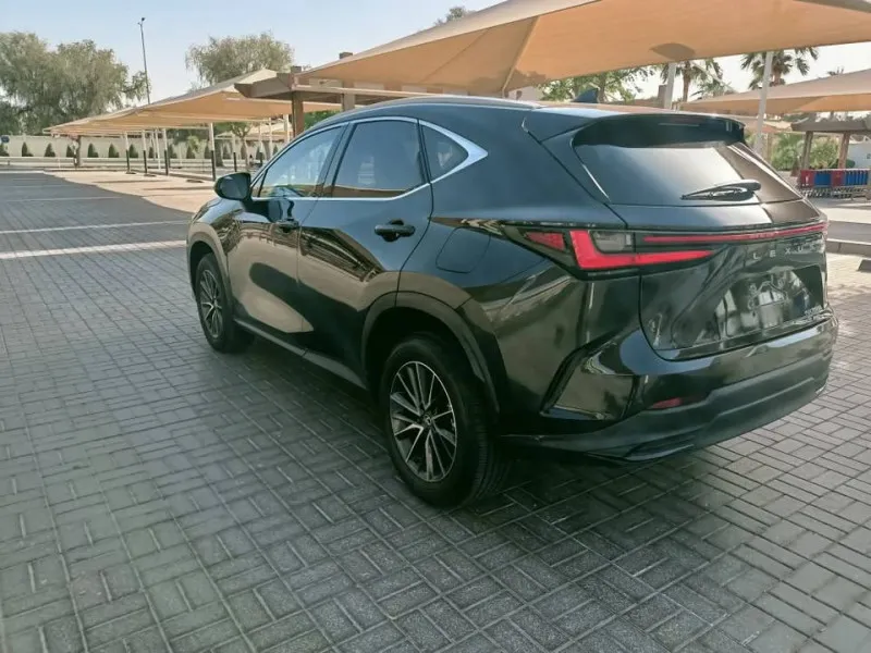 2025 Lexus NX in Dubai