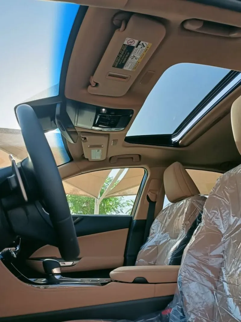 2025 Lexus NX in Dubai