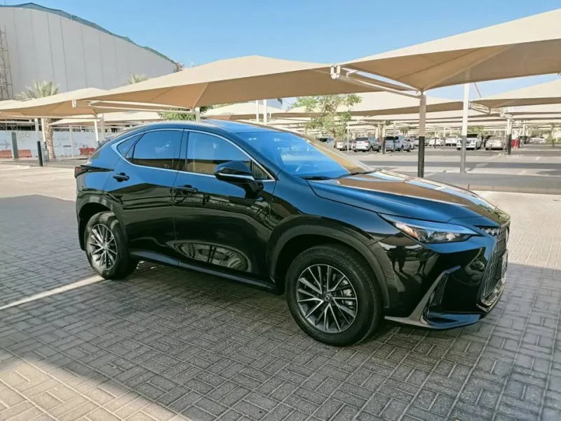 2025 Lexus NX in Dubai